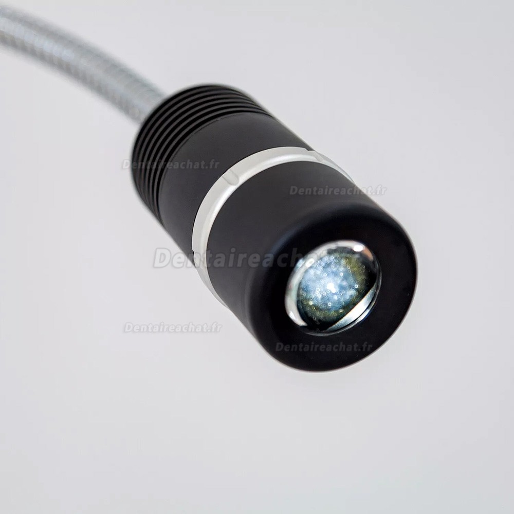 Lampe d'examen dentaire à LED à pince Micare JD1200J 12 W (à fixer sur le bureau)